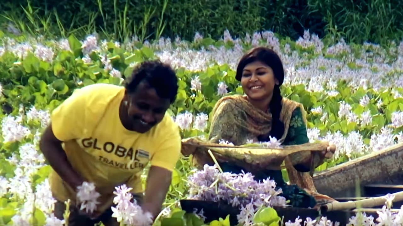 দি ডিরেক্টর