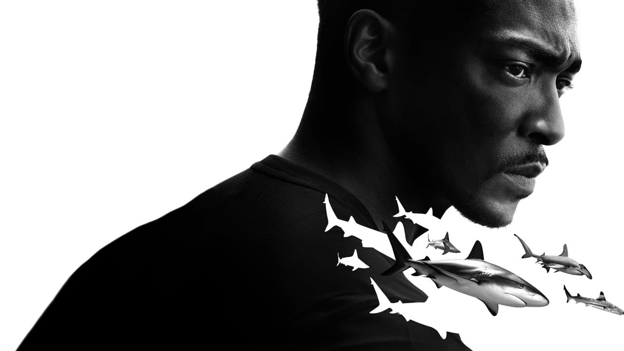 Anthony Mackie: la playa de los tiburones