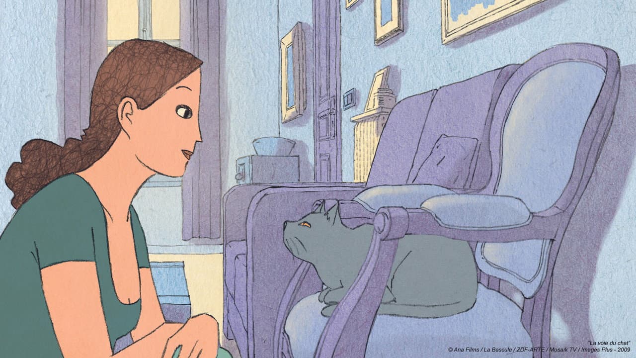 La voie du chat