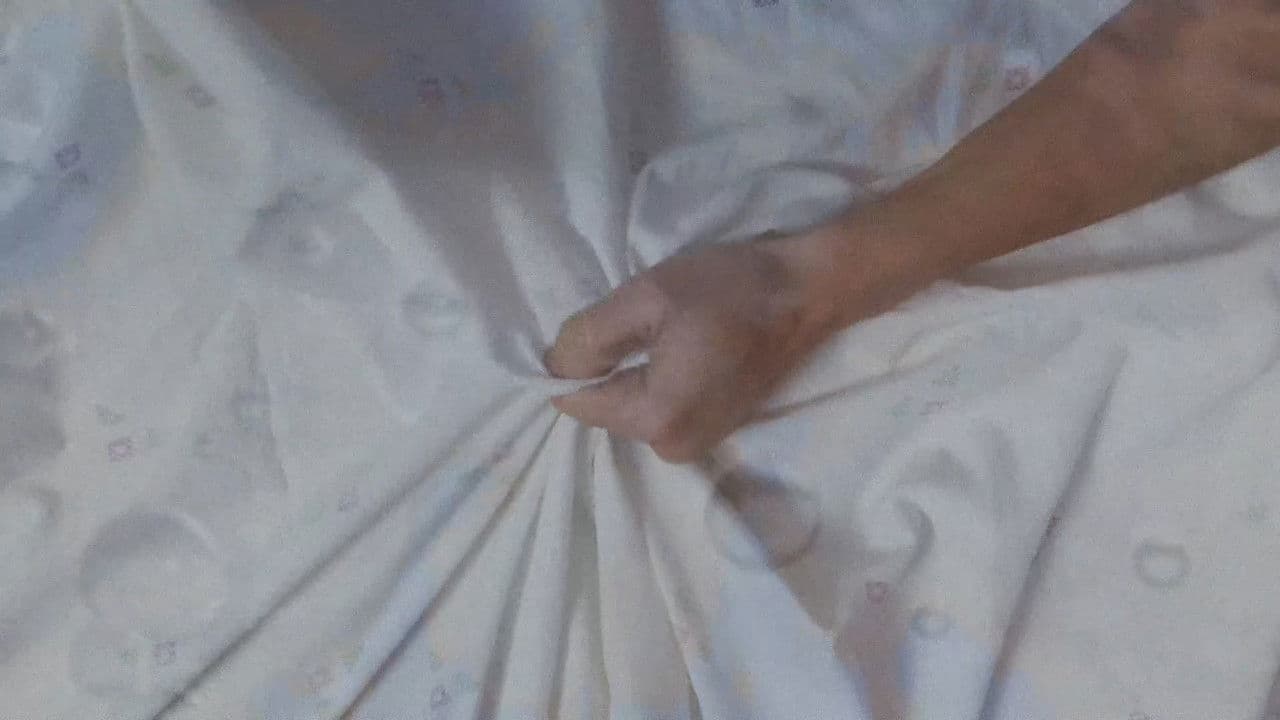 Una perra andaluza