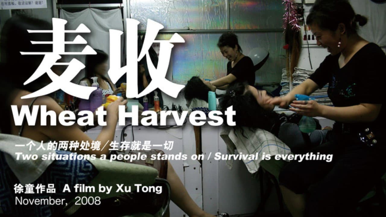 麦收