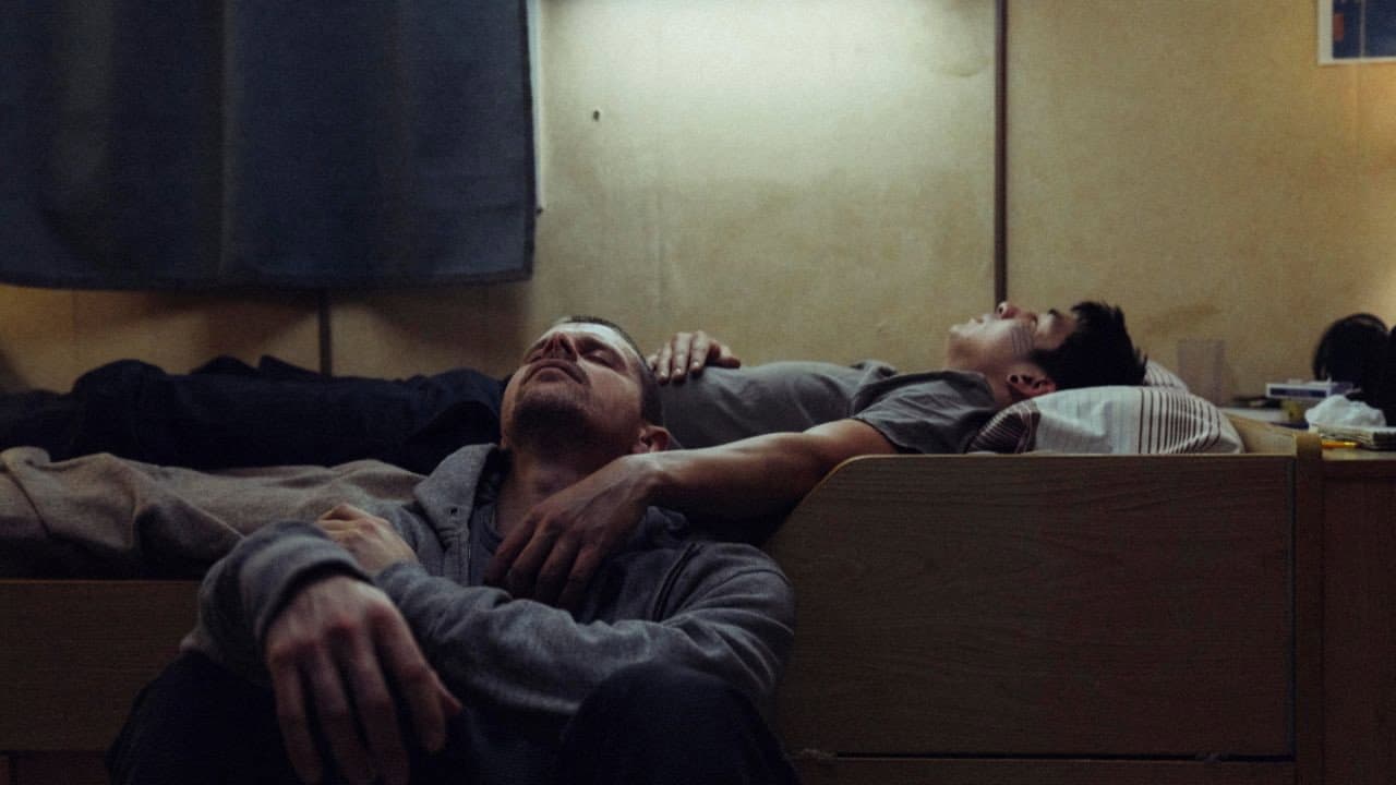 Labrador — Autopsie du silence