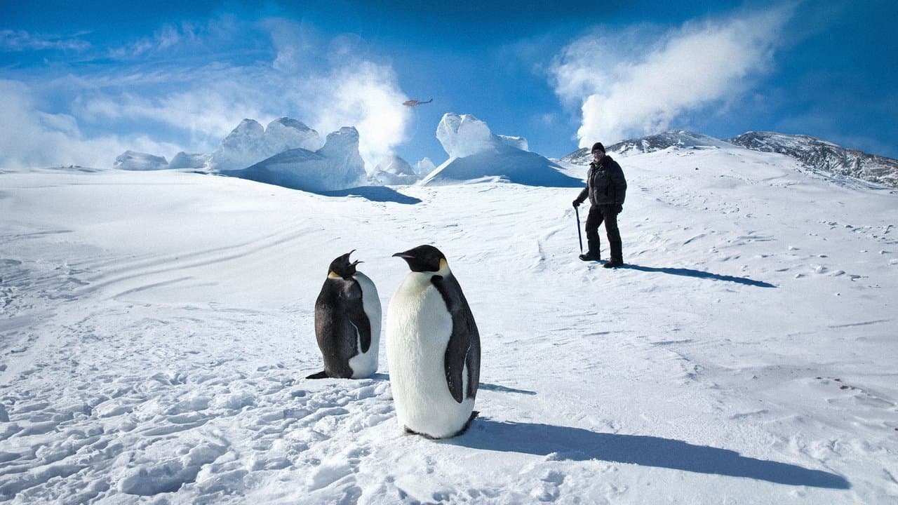 Antártida: Un año sobre hielo