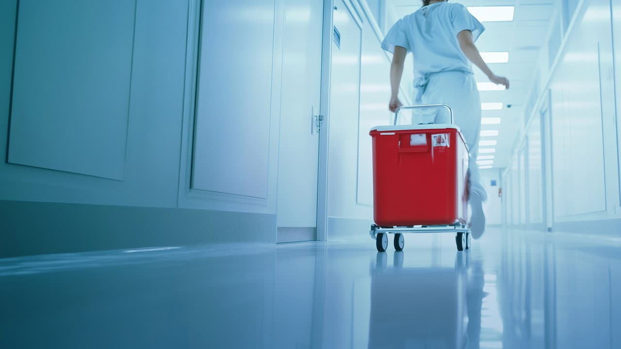 Operação Transplante