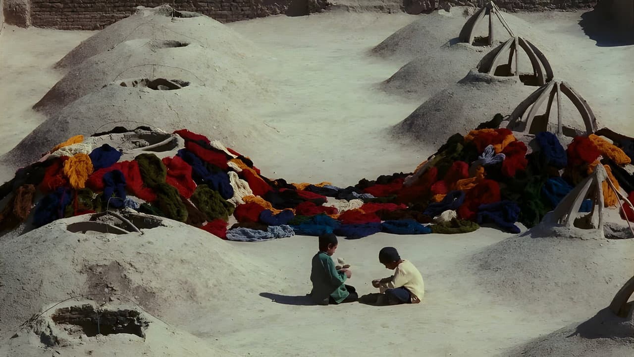 نار و نی