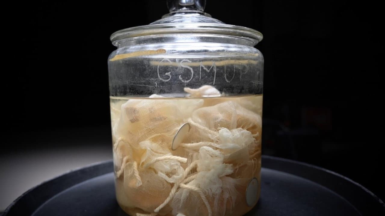 El hombre que robó el cerebro de Einstein