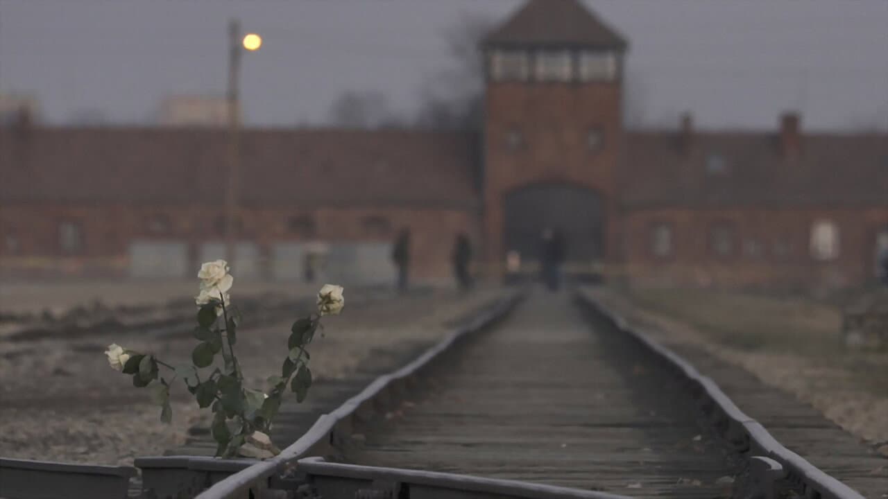 Auschwitz: cartas desde el infierno