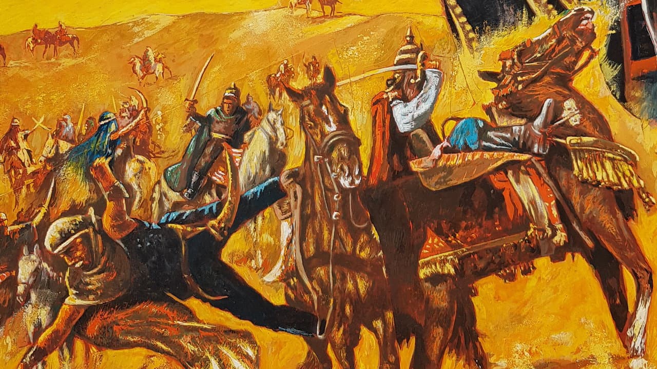 El halcón del desierto