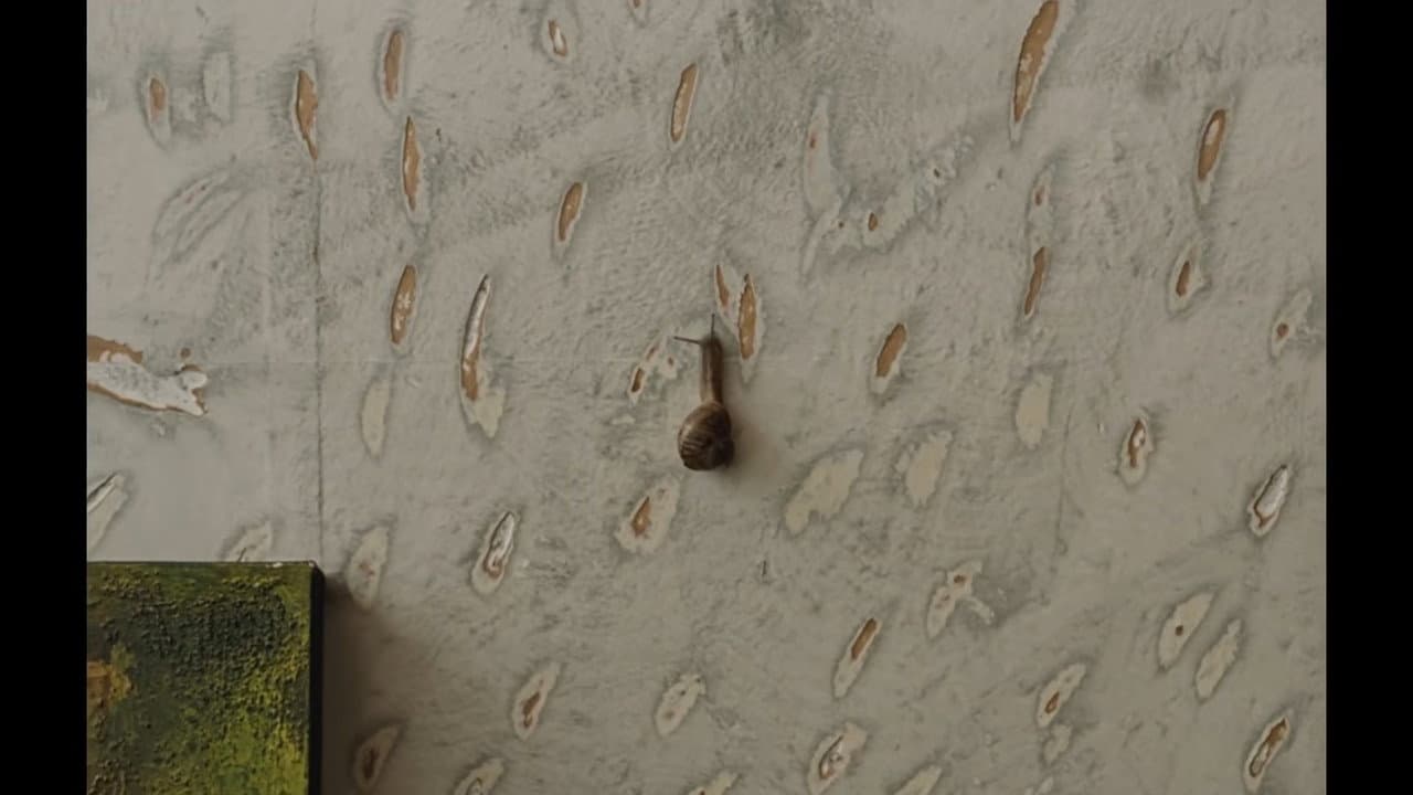 The Mark On The Wall