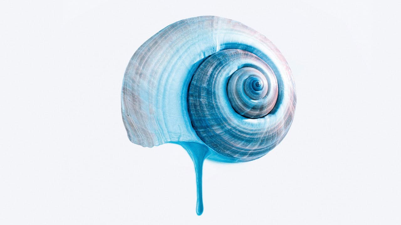 El Sendero Azul