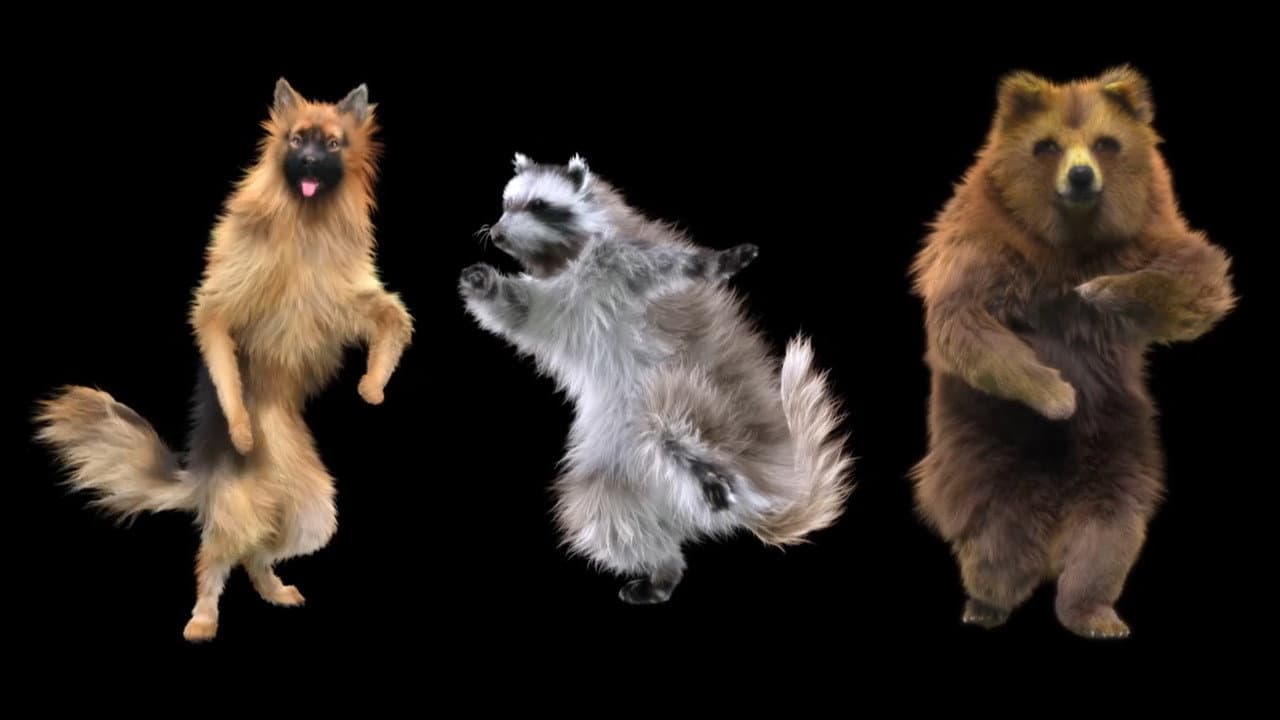 Animales: drogas, sexo y diversión