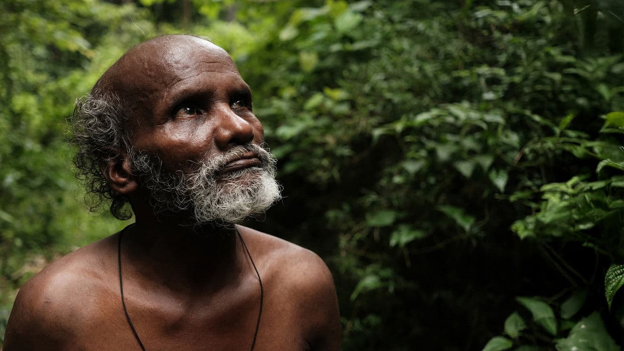 പാത്ത്