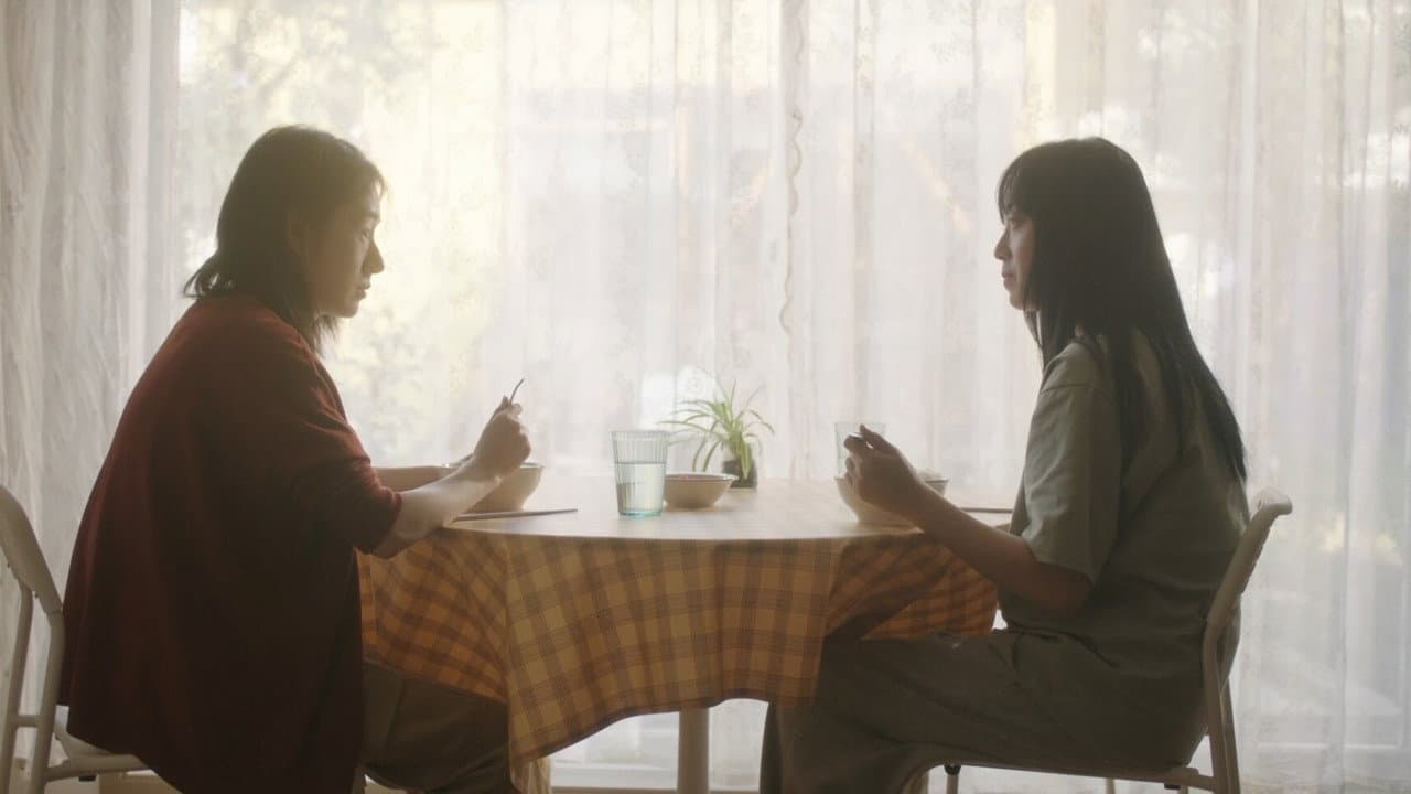 오늘의 카레
