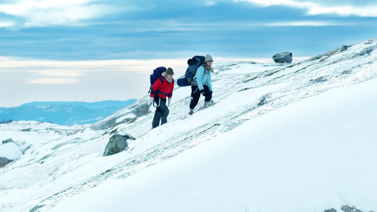 Fjellet