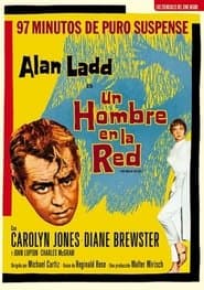 Un hombre en la red