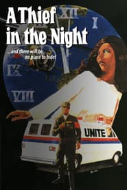 Un ladrón en la noche