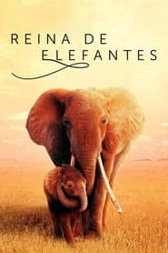 Reina de elefantes