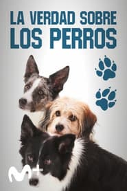 La verdad sobre los perros