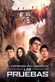 El corredor del laberinto: Las pruebas