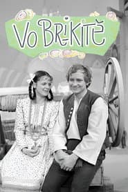 Vo Brikitě