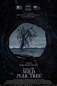 Making of The Wild Pear Tree