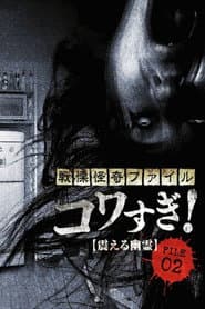 戦慄怪奇ファイル コワすぎ! FILE-02 震える幽霊