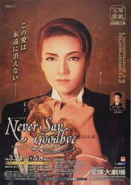 NEVER SAY GOODBYE-ある愛の軌跡-