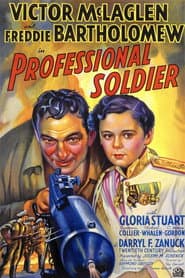 Soldado profesional