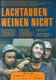 Lachtauben weinen nicht