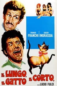 Il lungo, il corto, il gatto