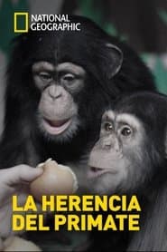 La herencia del primate