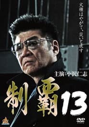 制覇13