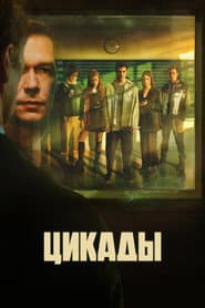 Цикады