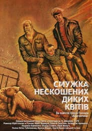 Полоска нескошенных диких цветов