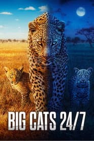 Big Cats 24/7