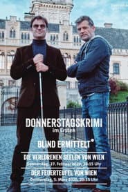 The Blind Detective: El pirómano de Viena