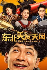 东北美发天团