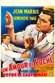 Amour de poche