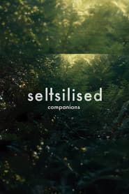 Seltsilised
