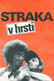 Straka v hrsti