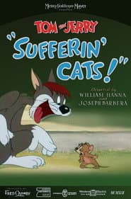 Gatos sufridos