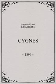 Cygnes