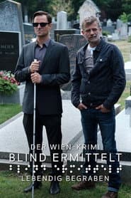The Blind Detective: Enterrado vivo