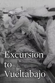 Excursión a Vueltabajo