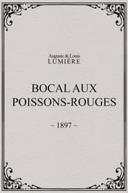 Bocal aux poissons rouges