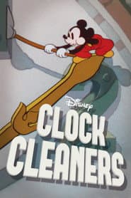 Limpiadores de relojes