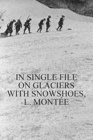 En file indienne sur les glaciers avec les raquettes, montée