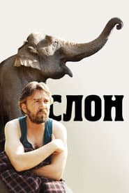 Slon