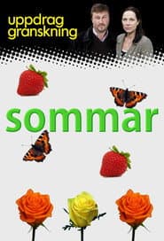 Uppdrag granskning sommar