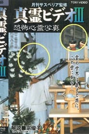 真霊ビデオ3 恐怖心霊写真集